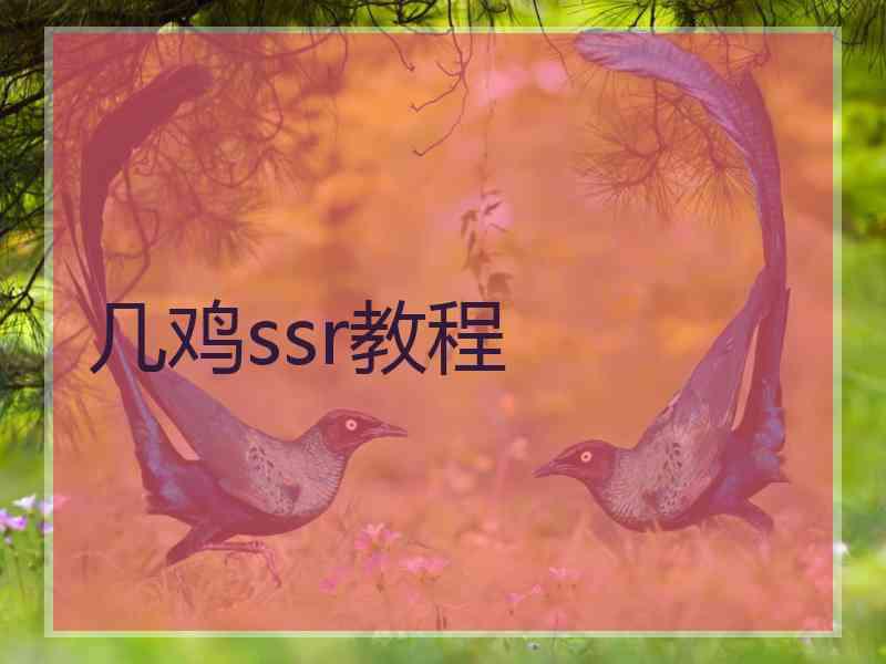 几鸡ssr教程